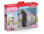 Schleich Set de început Sofia și Dusty (SLH42584) Figurina