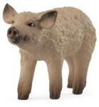 Schleich Pui Mangalica (SLH14893) Figurina