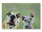  „A kutya harap! …és a macska sem beszámítható - Vicces lábtörlő (60×40 cm) (CQ04871)
