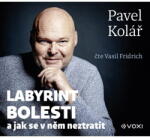 Multiland Labyrint bolesti (Kolář Pavel - Fridrich Vasil) - CD (MP3) (084112)