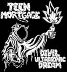 Warner Teen Mortgage: Devil Ultrasonic Dream - Vinyl (LP) (082414)