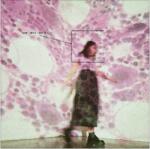 Universal Soccer Mommy: Sometimes, Forever - Vinyl (LP) (050962)