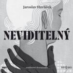 Radioservis Neviditelný (Jaroslav Havlíček) - CD (MP3) (027145)