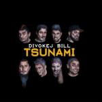 Supraphon Divokej Bill: Tsunami - Vinyl (LP) (017350)