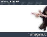 Universal Filter: The Amalgamut - 2Vinyl (LP) (058759)