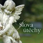 Supraphon Slova útěchy - CD (015878)