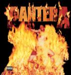 Warner Pantera: Reinventing The Steel - Vinyl (LP) (034918)