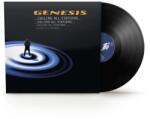 Warner Genesis: Calling All Stations (Reedice 2024) - 2Vinyl (LP) (076810)