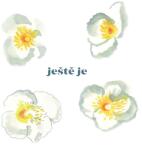 Supraphon Javorský Vladimír: Ještě je - Vinyl (LP) (057832)