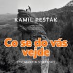 Supraphon Co se do vás vejde (Pešťák - Stránský Martin) - CD (MP3) (067850)