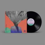 BMG Everything Everything: Mountainhead - Vinyl (LP) (069363)