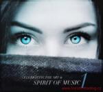 STS Digital - Celebrating The Art & Spirit Of Music Vol. 1 - Referencia CD (063382)