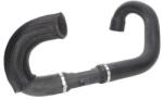 THERMOTEC Palnie, filtru de aer THERMOTEC DCC017TT (DCC017TT)