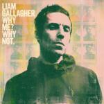 Warner Gallagher Liam: Why Me? Why Not. - Vinyl (LP) (029135)