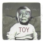 Warner Bowie David: Toy - 2Vinyl (LP) (052038)