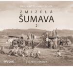 Multiland Zmizelá Šumava 2 (Kintzl Emil - Štěpánek Petr) - CD (MP3) (073926)