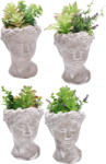 AdTrend Set 4 plante artificiale suculente in ghiveci 14 x 14 x 27 cm (107023)