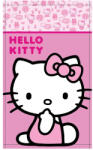 Mister Licence Hello Kitty Cutie 30x50 cm FML365846