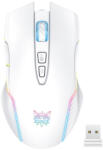 Onikuma CW905S White