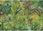Komar Colorante vliestapéta 350 cm x 250 cm