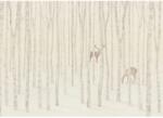 Komar Québec vliestapéta 350 cm x 250 cm