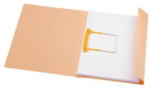 Djois Dosar carton color cu alonja arhivare de mare capacitate, DJOIS Secolor - chamois (DJ-3103104) - forit