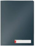 Leitz Mapa LEITZ Cosy, cu eticheta si 3 separatoare, PP, A4, 40 coli, gri antracit (L-47160089)