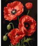 Qbee Paint by numbers - Red Poppies 40x50cm