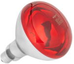 Rebel BEC INFRAROSU CRESTERE PUI E27 R125 250W REBEL (ZAR0584) - forit