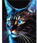 Qbee Paint by numbers - Cosmo-cat 40x50cm