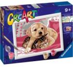 Cre Art On the blanket Painting kit