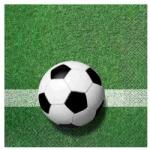 Godan Șervețele cu model de minge de fotbal - set de 20 bucăți (PW SPPN)