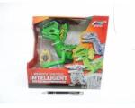 Artyk DINOSAUR, on the radio, green, card