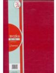 Antra Briefcase A4 706 red ANTRA