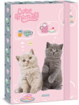 Ars Una Ars Una: Cute animals - tea party cicás füzetbox A/4 (50855322)