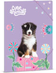 Ars Una Ars Una: Cute animals - Aussie kutyás gumis dosszié A/4-es méret (50215287)