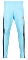 Adidas Futónadrágok / Melegítők Argentine Kék EU M