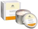 PINO Lumânare de masaj - portocală și lemongrass, 60g