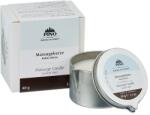 PINO Lumânare de masaj - nucă de cocos și mentă, 60g