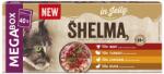 Shelma 40x85g Shelma Gf Nm zsebmacskáknak 4 féle hús