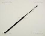 TRISCAN Amortizor capota TRISCAN 8710 29109 (8710 29109) - fixbox
