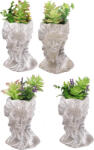 AdTrend Set 4 plante artificiale suculente in ghiveci 18 x 14 x 34 cm (107026)