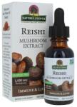 Nature's Answer Reishi Mushroom Extract, 1000mg - 30 ml