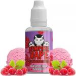 Vampire Vape Raspberry Sorbet 30ml concentrate