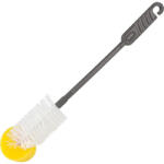 aro Palackkefe (MM490373)
