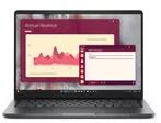 Dell Pro 14 PC14250 (BTO010_PC14250_EMEA_UBU_250SSD)