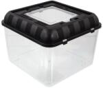 Repti Planet Cutie de reproducere Repti Planet 26x26x20cm (007-60804) - raijucarii
