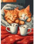 Ideyka Painting by numbers kit 30x40cm KHO6588 Cats in love AP0093