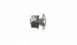 Baks Mushroom screw SG M6X10 650141 /100pcs /