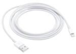 Apple Y00000363813
